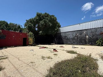 place photo 6