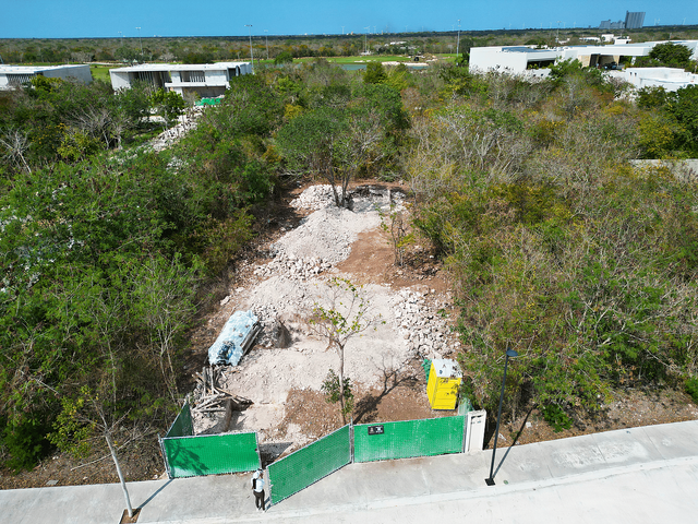place photo 21