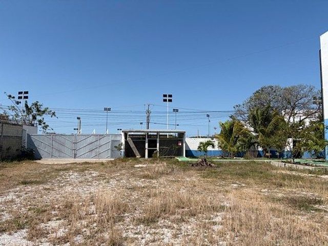 place photo 4
