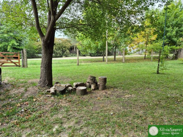 place photo 26