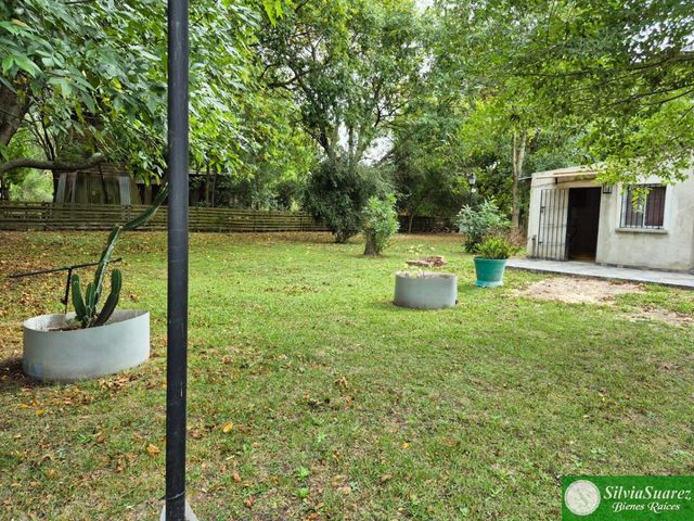place photo 28