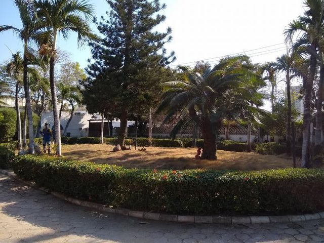 place photo 8