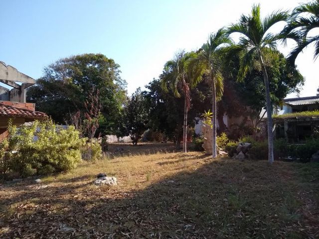 place photo 10