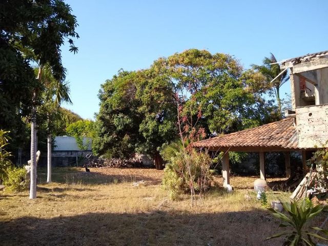 place photo 12