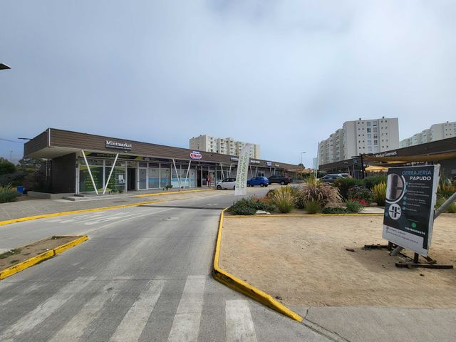 place photo 17