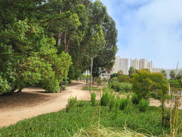 place photo 20