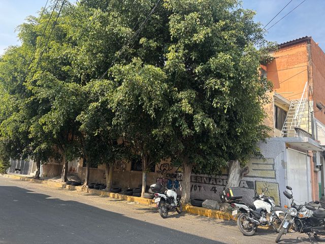 place photo 13