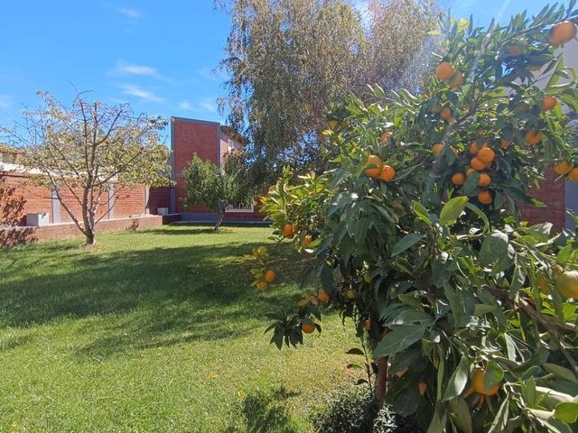 place photo 35