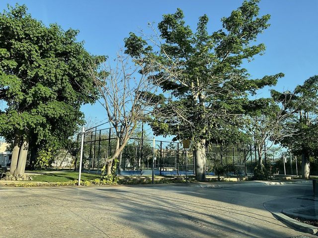 place photo 5