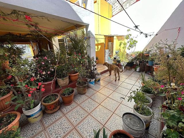 place photo 32