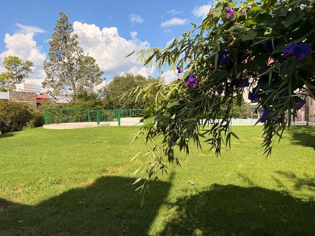 place photo 61