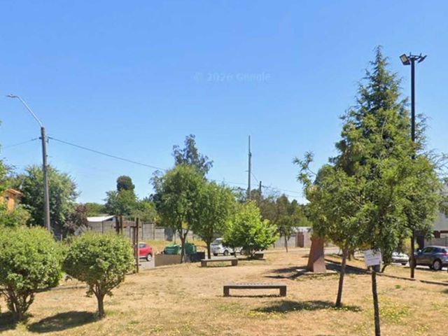 place photo 18