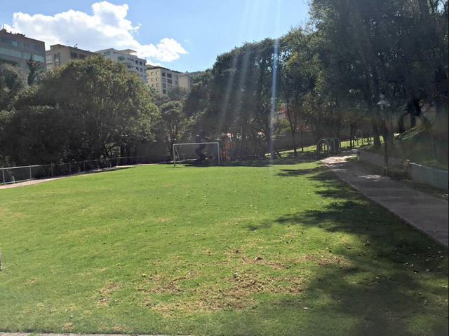 place photo 24