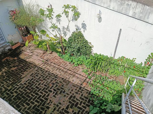 place photo 30