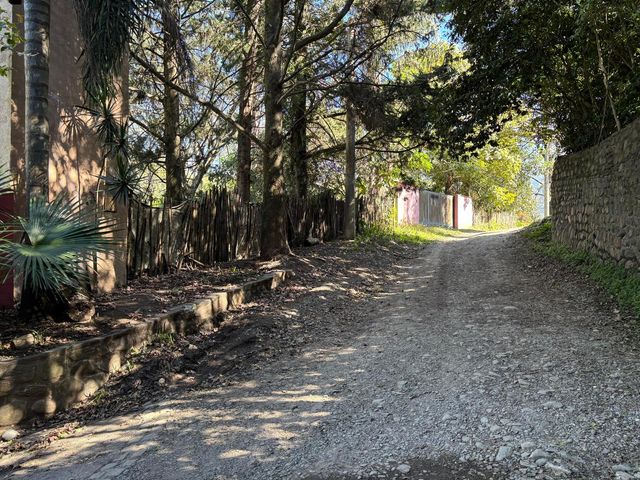 place photo 46