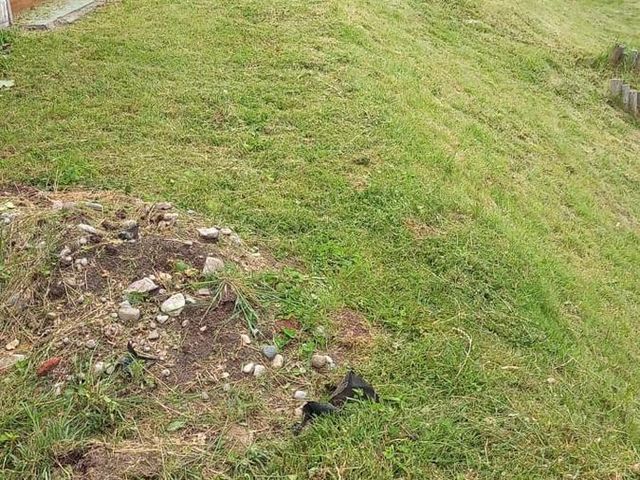 place photo 31