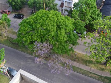 place photo 61
