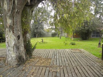 place photo 31