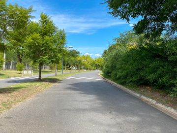 place photo 47