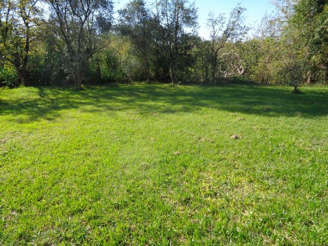 place photo 28