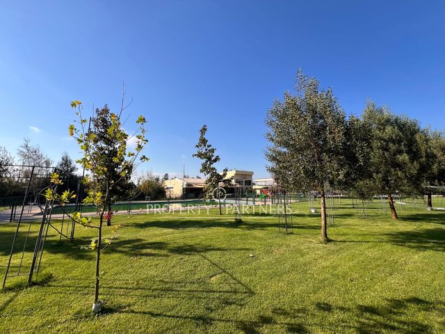 place photo 75