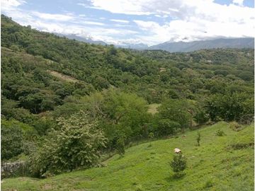 place photo 45
