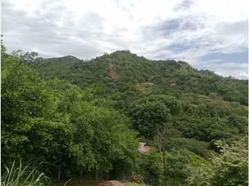 place photo 44