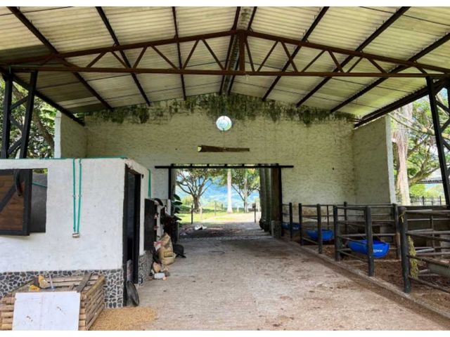 place photo 42