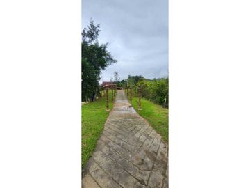 place photo 67