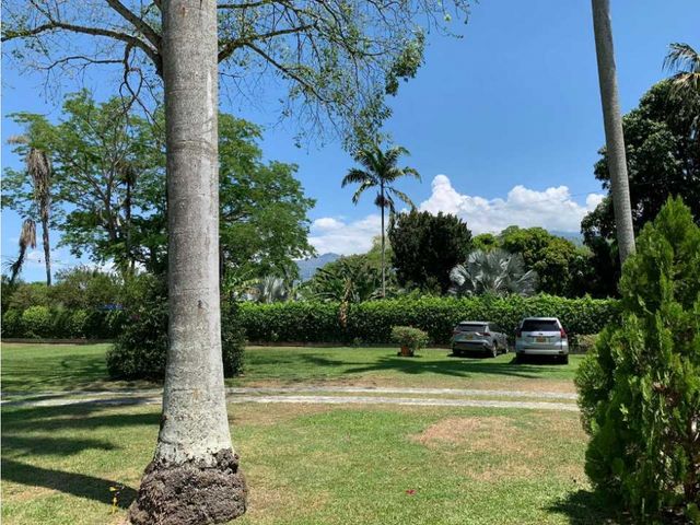 place photo 40