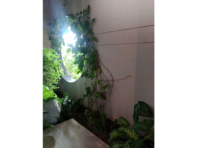 place photo 68