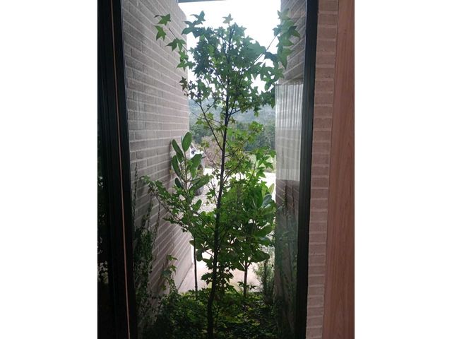 place photo 46