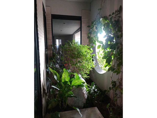 place photo 67