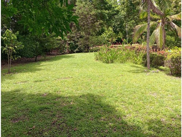 place photo 38
