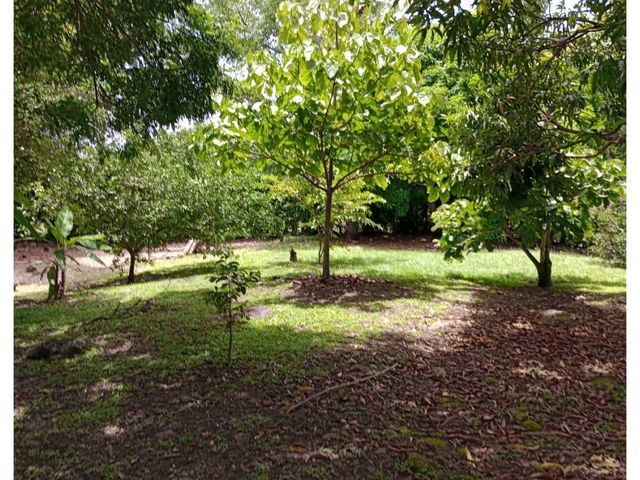 place photo 36