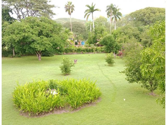 place photo 37