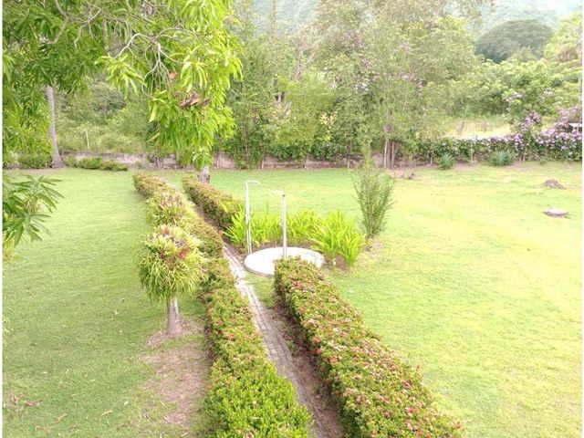 place photo 40