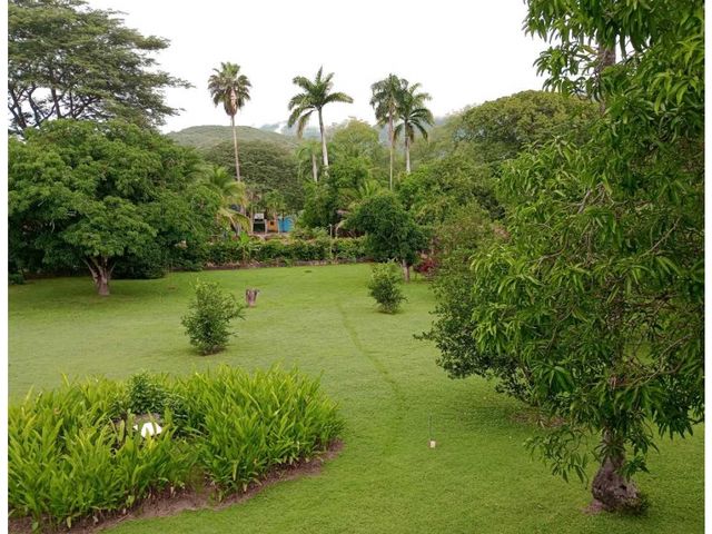 place photo 43