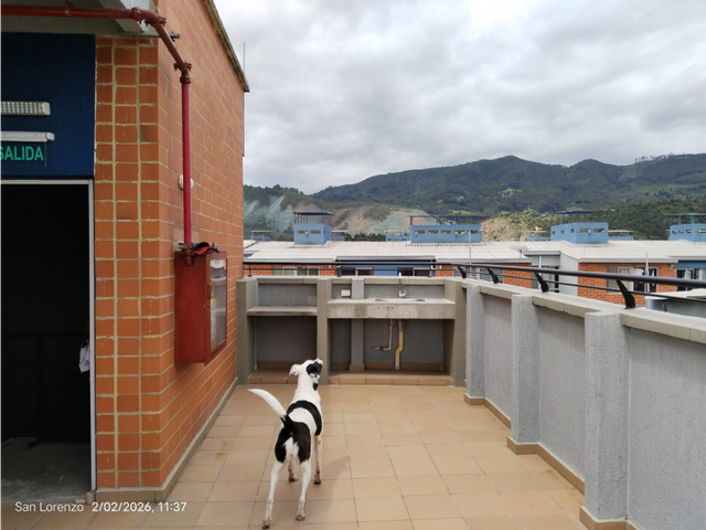 place photo 16