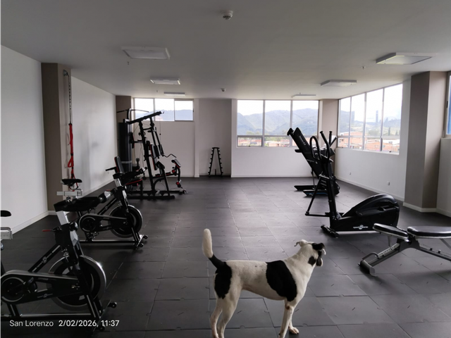 place photo 32