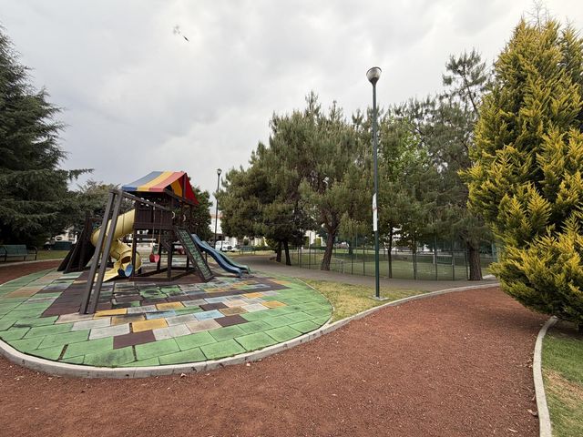 place photo 17