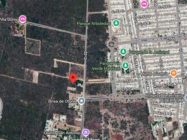 place photo 8