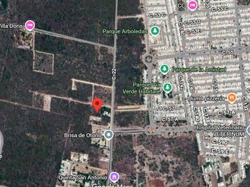 place photo 8