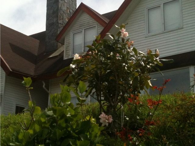 place photo 30