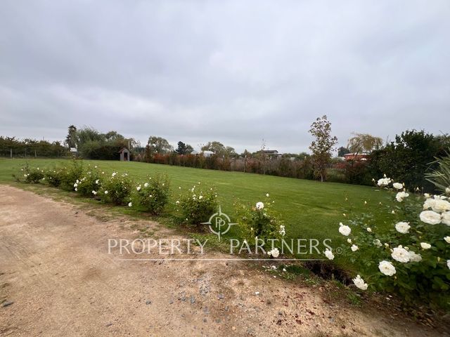 place photo 40