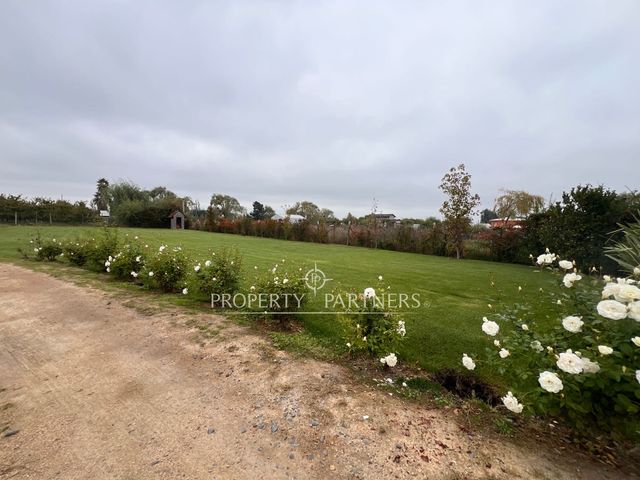 place photo 36