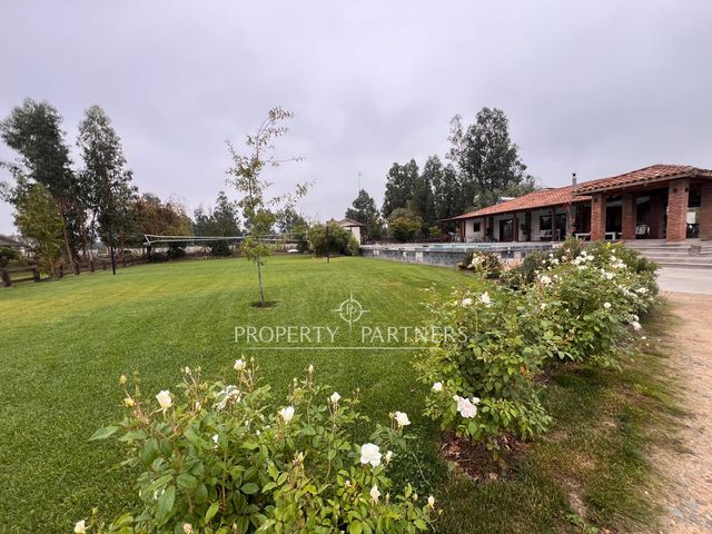 place photo 48