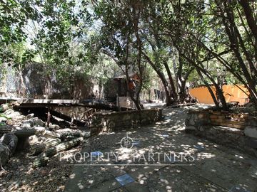 place photo 19