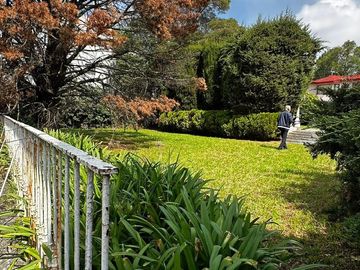 place photo 30