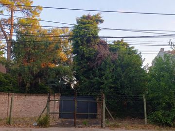 place photo 21